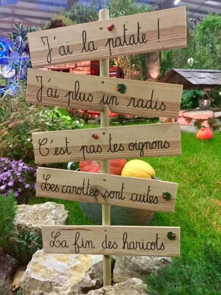 Expressions françaises des états d'humeur ou autres situations à partir des légumes du jardin.